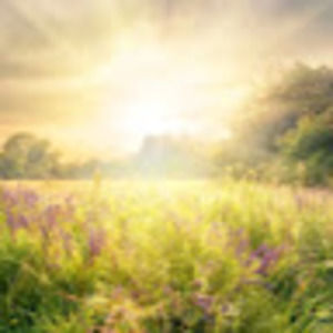 Meet your Posher, Daniele